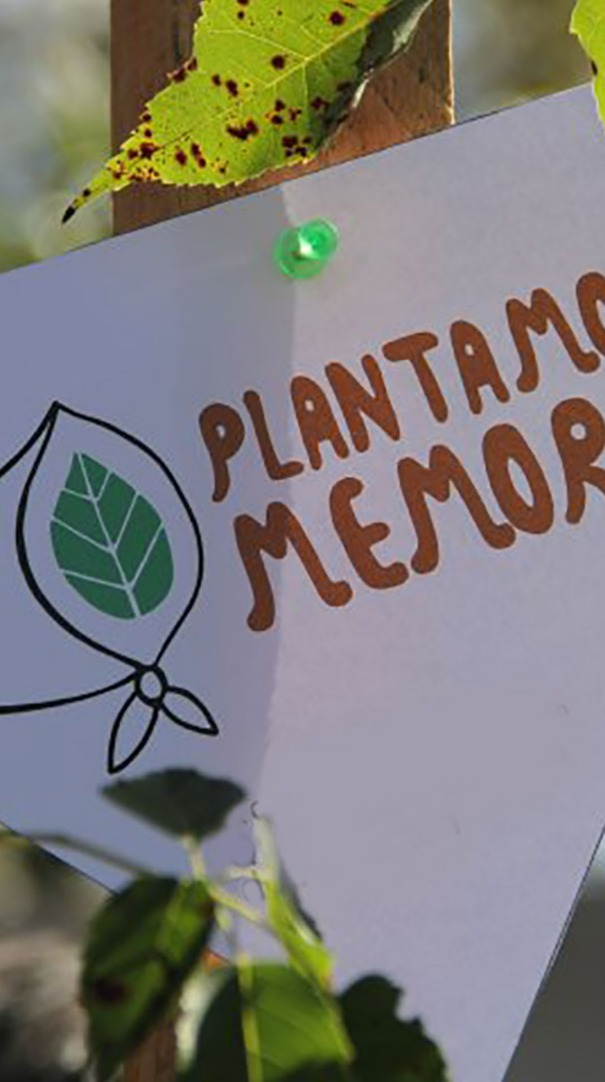 Jakowczyk - Correa Llano